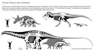 Skeletaldrawing Com By Popular Request I Ve Created A Size Comparison Of Some Of The Most Popular Dinos Prehistoric Animals Dinosaur Fossils Ancient Animals