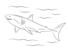 Pin On Coloring Pages