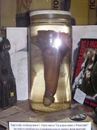 YARAK ile ilgili görsel sonucu