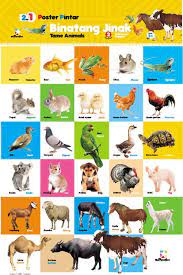 77 gambar gambar hewan untuk anak tk hd terbaru. 41 Koleksi Gambar Hewan Buas Untuk Anak Tk Hd Gambar Hewan