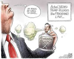 Political Cartoon on 'Musk Enjoying Political Power' by Adam Zyglis, The  Buffalo News at The Comic News