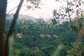 See 334 traveller reviews, 106 candid photos, and great deals for mcleod inn, ranked #3 of 575 speciality lodging in kandy and rated 4.5 of 5 at tripadvisor. Verdoyant Journal Urbain