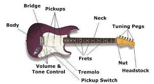 These plans are 1:1 scale (suitable for templates) and include measurements and multiple angles. Sw 4287 This Is Just Cool Diagram I Found On The Net The Stratocaster Has A Download Diagram