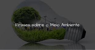 Compartilhar com vocês essas lindas frases e mensagens, e como tudo o que faço no canal apresentando datas comemorativas, tudo é. Frases Sobre O Meio Ambiente Mensagens Sobre A Preservacao