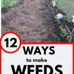 Maybe you would like to learn more about one of these? 12 Ways To Make Weeds Go Away Naturally Life Is Just Ducky