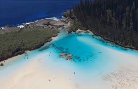 Excursion Pirogue Baie D Upi Et Piscine Naturelle Neutomo Tour Excursion Bateau Ilot Brosse Et Ile Des Pins