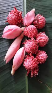 Selain beli dari nursery boleh juga ambil bunga kantan yang dah matang. Resepi Sedap Sambal Bunga Kantan Tumis Dengan Ikan Bilis Bagi Kering Mingguan Wanita