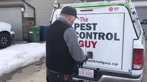 We specialize in bedbug control peregrine general pest control inc. Airdrie Pest Control Services The Pest Control Guy