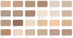 Boya Renkleri Panosundaki Pin