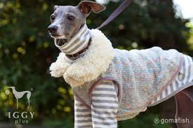 Iggyplus Gomafish Vest Mix Color Vest White Italian Greyhound Clothes Dog Coats Dog Clothes