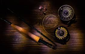 We did not find results for: Creative Photography You Can Do At Home Nikon