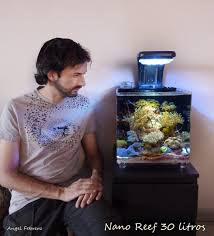 Pin By Nalu Webb On Reef Tanks 2 In 2020 Reef Tank Reef
