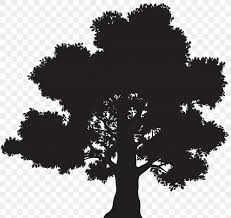 5 out of 5 stars. Oak Silhouette Tree Clip Art Png 8000x7536px Oak Black And White Illustration Monochrome Monochrome Photography Download