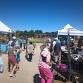 11th Annual Celebrating Migratory Birds — Boulder County Audubon