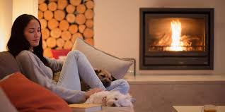 Check spelling or type a new query. Best Wood Burning Stove Companies Revealed By Which Which News