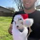 Cocoa, Cuddles, and Santa Claus (Austin) event image