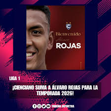 EL CALENDARIO DEL BASKET PERUANO! Se presentó el calendario deportivo 2026  del baloncesto nacional. Está divididos en categorías: Sub10, Sub13, Sub14,  Sub15, Sub19, 3x3 y mayores. #LNB #Baloncesto