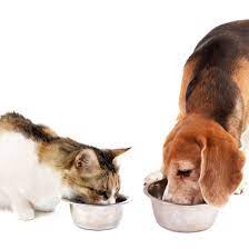 But they also can improve quality of life of both the pet and pet's human family since feeding tubes can help reduce the stress of feeding your pet adequate amounts of the optimal diet and provide an easy way give many medications. How To Get Free Cat And Dog Food