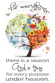 Job Ecclesiastes Song Of Solomon Scripture Pictures Ecclesiastes Scripture Art Scripture