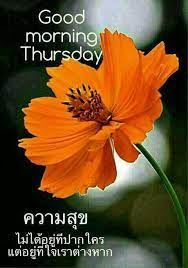 สว สด สว สด สว สด ตอนเช า อร ณสว สด