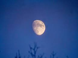 En este artículo descubrirás qué tan importante es la luna para tu vida. Cuando Es Cuarto Creciente 2021 Erenovable Com