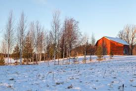 Una regione che ogni amante della natura allo stato. 10 Motivi Per Visitare La Svezia In Inverno