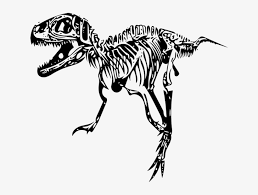 Download Skeleton Svg T Rex T Rex Skeleton Png Transparent Png 960x540 Free Download On Nicepng