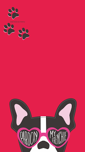 Pardon My Frenchie Iphone Wallpaper Iphone Wallpaper Wallpaper Iphone Disney Funny Wallpaper