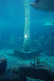 Discover the mysterious unknown ancient underwater ruins in atlantic ocean 800 miles west of morocco. Quotes About City Underwater 24 Quotes
