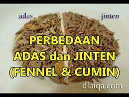 Lihat juga resep kue jintan manis renyah enak lainnya. Perbedaan Adas Dan Jinten Fennel Cumin Seeds Youtube