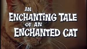 Thomasina is the pet cat of mary mcdhui, the daughter of scottish veterinarian andrew mcdhui. The Three Lives Of Thomasina 1963 Trailer Youtube