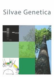 Image result for Balfourodendron