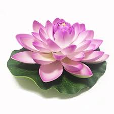 We did not find results for: Floating Lotus Lights Shop Floating Lotus Lights Online