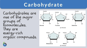 Jul 16, 2021 · carbohydrates are stored in fhe kiver and musc in the form of / solved in humans glycogen is stored in liver and muscle chegg com : Carbohydrate Definition And Examples Biology Online Dictionary