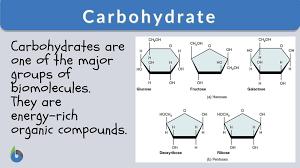 Carbohydrate must be stored along with water. Carbohydrate Definition And Examples Biology Online Dictionary