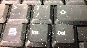 Here are some tips you can use to get rid of mold mites at home. Mites Living In A Laptop Youtube