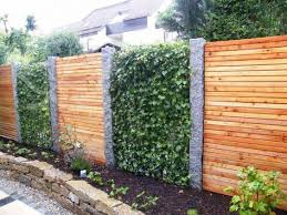 Efeu Element 180 X 120 Cm Fruhlingspreis Sichtschutzzaun Garten Garten Sichtschutzwand Garten