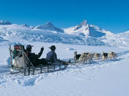Groenlandia no está acostumbrada a ser el centro de atención, pero el año pasado apareció en las portadas de los periódicos de todo el mundo. Groenlandia Cuanto Viven Los Animales