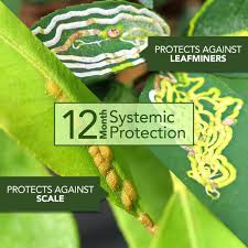 The document was published in english and french by the health canada pmra back in january of 2018. Bioadvanced 32 Oz Concentrate Tree And Shrub Protect With Feed 701810a The Home Depot