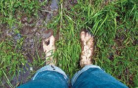 You Can T Be Healthy In A Sick Ecosystem Yes Magazine Body Health Yoga Articles