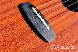 Grey kitchen ideas uke strings order of books. Enya Euc X1m Concert Ukulele Review