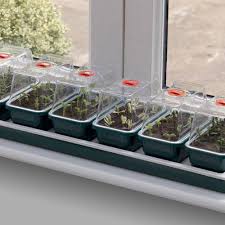 (h)15 x (w)54 x (d)7.2cm. Window Sill Propagator Two Wests Elliott Ltd