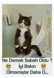 Rukiye Boz Balsu Adli Kullanicinin Mesajlar Panosundaki Pin Komik Seyler Komik Komik Capsler