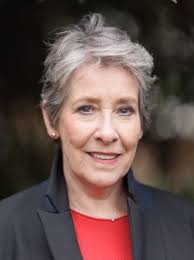 Downton Abbey star to front new crime drama adapted from best-selling novel  series