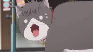 Tada-kun wa Koi wo Shinai – 03 – Random Curiosity