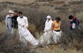 15,354 likes · 3 talking about this. Drug Murders And Gold Machine Guns In Mexico