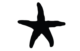 Starfish Silhouette Vector Silhouette Vector Fish Silhouette Silhouette Art