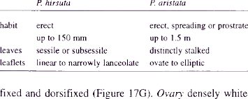 Image result for Pearsonia aristata