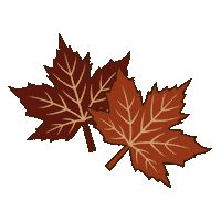 Look at links below to get more options for getting and using clip art. Autumn Leaves Fall Sticker By Noelle Downing