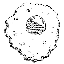 Hi everyone , our latest update coloringimage which you couldwork with is fried egg coloring pages for kids, posted on fried eggcategory. Drawing Fried Egg Coloring Pages Download Print Online Coloring Pages For Free Color Nimbus